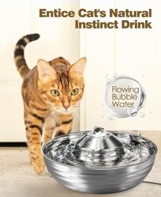 img 3 attached to Stainless Steel Cat Water Fountain - Low Noise, Multiple Pets Friendly, 2L/67Oz Capacity