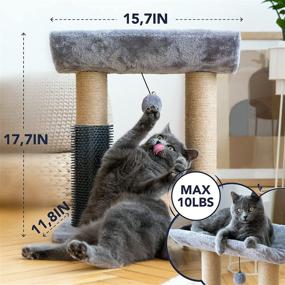 img 2 attached to 🐱 Versatile 4-in-1 Small Cat Tree - Multi-Functional Cat Scratching Post with Cradle Cat Bed, Massaging Post, and Interactive Cat Toy - Compact 16x12x18inch Design in Wood, Plush, and Jute Rope - Ideal Indoor Cat Scratcher Post for Cats and Kittens