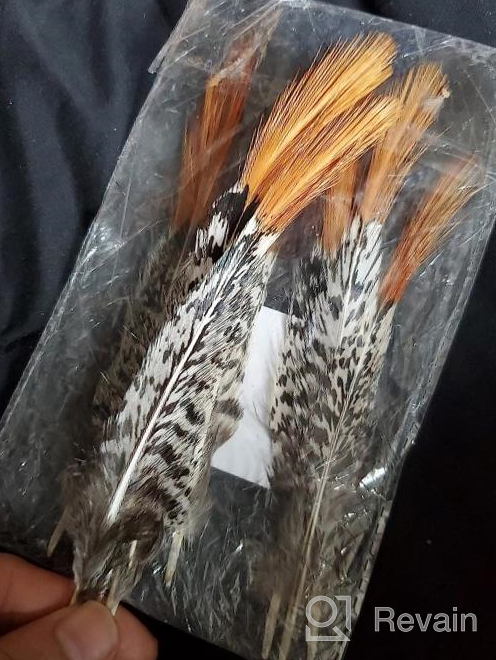 img 1 attached to Sowder 10Pcs Red Lady Amherst Pheasant Plumage Feathers 8-10 Inches For Home Wedding Decoration review by Leroy Stanton