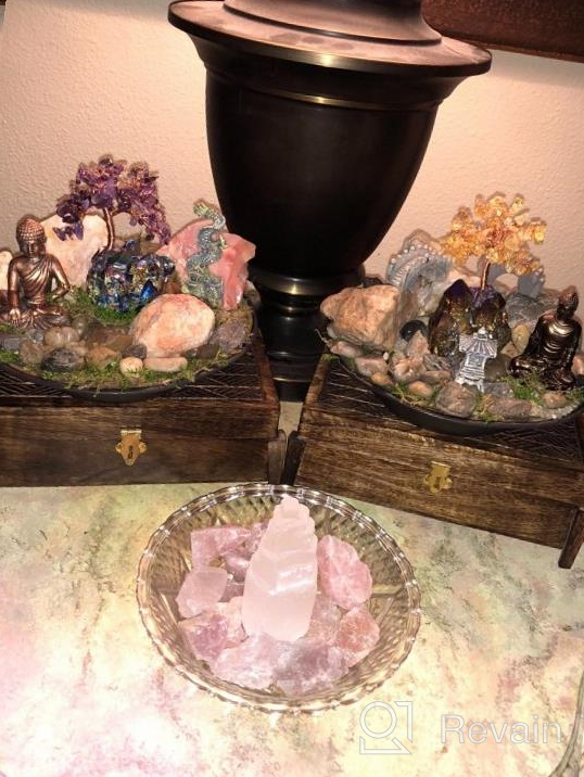 img 1 attached to Mookaitedecor Amethyst Crystal Tree, Quartz Cluster Red Titanium Crystals Base Bonsai Money Tree For Wealth And Luck review by Brooke Washington