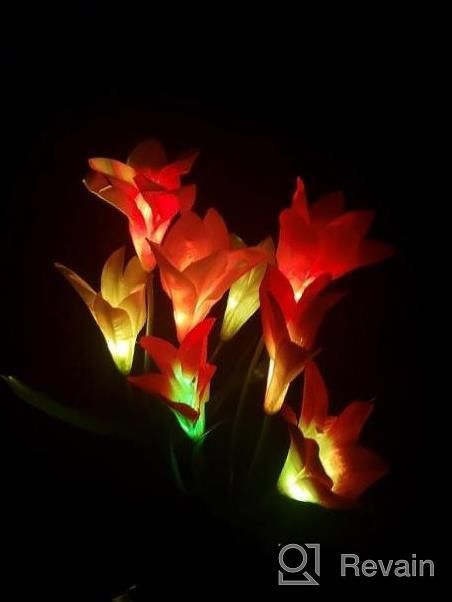 img 1 attached to KOOPER 2 Pack Outdoor Solar Garden Lights With 8 Larger Lily Flowers, 7 Color Changing Lights, Waterproof Bigger Solar Panel For Garden, Patio, Yard, And Pathway Decoration review by Srinivas Johnson