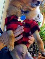 img 1 attached to HOODDEAL Dog Shirts Red Plaid Polo T-Shirt Cute Breathable Cotton Pet Clothes Soft Casual Thanksgiving Christmas Halloween Costumes For Small Medium Large Puppy (S) review by Leticia Ellis