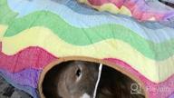 img 1 attached to Cat Heaven At Home! Get Your Furry Friend This Amazing 3-Way Collapsible Tunnel Bed With Ball Toy And Peek Hole For Fun Playtime And Exercise. review by Robert Bigelow