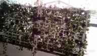img 1 attached to Enhance Your Garden With BrylaneHome Flower Box And Trellis In Black review by Gina Estevez