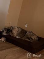 img 1 attached to 🐶 Furhaven Large Gray Plush & Suede Sofa-Style Dog Bed Replacement Cover review by Jaymai Alford