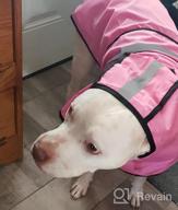 img 1 attached to Keep Your Dog Warm And Visible In The Cold With MIGOHI'S Waterproof And Windproof Dog Coat review by Julio Fernandez