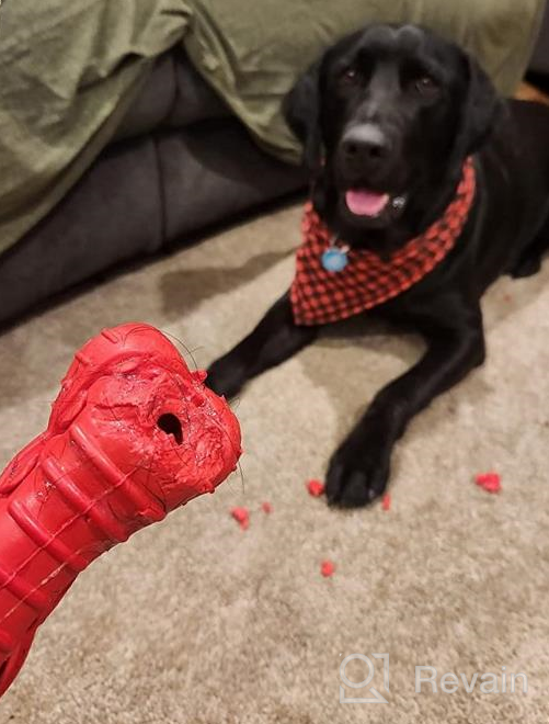 img 1 attached to Indestructible Dog Chew Toys For Aggressive Chewers - Non-Toxic Natural Rubber Toy For Large And Medium Breeds By Rmolitty (Rocket-Red) review by Marcus Munoz