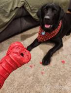 img 1 attached to Indestructible Dog Chew Toys For Aggressive Chewers - Non-Toxic Natural Rubber Toy For Large And Medium Breeds By Rmolitty (Rocket-Red) review by Marcus Munoz