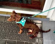 картинка 1 прикреплена к отзыву Breathable Mesh Harness For Small And Medium Dogs With Reflective Soft Padding - Joytale Step-In Harness In 12 Colors (Teal, L) от Richard Bowens