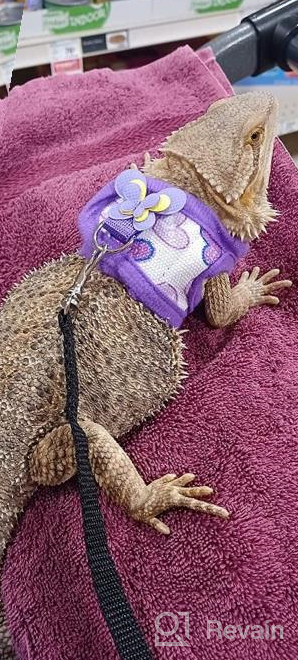 img 1 attached to Soft & Adjustable Handmade Harness Vest And Leash Set For Small Pets - Hamsters, Rats, Iguanas, Bearded Dragons, And Ferrets In Purple review by Tyler Fountas