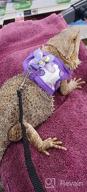 img 1 attached to Soft & Adjustable Handmade Harness Vest And Leash Set For Small Pets - Hamsters, Rats, Iguanas, Bearded Dragons, And Ferrets In Purple review by Tyler Fountas