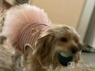img 1 attached to 🦄 KYEESE Unicorn Tiered Layer Tutu Tulle Dog Birthday Party Dress with Sequins - Perfect for Small Dogs review by Eli Saumell