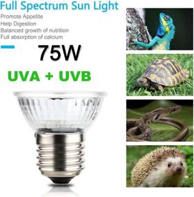 img 1 attached to 🐉 OMAYKEY 75W 6 Pack Full Spectrum UVA + UVB Sun Lamp for Lizard Bearded Dragon Chameleon Snake Turtle Aquarium Reptiles & Amphibians – Sunbathe Heat Bulb/Light