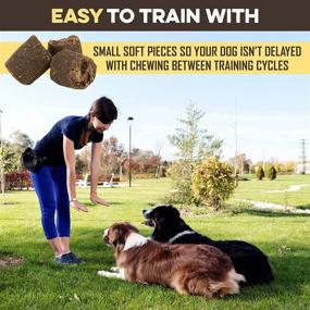 img 1 attached to 🐶 BRUTUS & BARNABY Peanut Butter & Banana Training Treats - All-Natural Vegan Snack for Dogs, Ideal for Positive Reinforcement Training