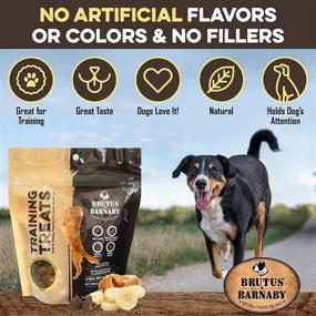 img 2 attached to 🐶 BRUTUS & BARNABY Peanut Butter & Banana Training Treats - All-Natural Vegan Snack for Dogs, Ideal for Positive Reinforcement Training