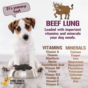 img 1 attached to Premium All-Natural Beef Lung Chews For Dogs - Huge Bag Of Crispy Delights, Made In USA, Perfect For Large And Small Dogs, Mouthwatering Beef Flavor Your Pup Will Love - 10 Oz Bag