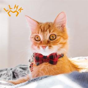 img 3 attached to 🐟 LLHK 4 Pack Small Fish Cat Collars: Personalized, Cute, and Adjustable Accessories for Girl Boy Cats