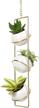 jackcube design hanging planter for indoor plants, boho vertical ceiling plant gold metal hanger with 3 white mini ceramic pots, succulents cactus herb faux flower decoration - mk631a logo