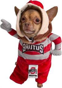 img 3 attached to Pet Krewe University Buckeye Costume