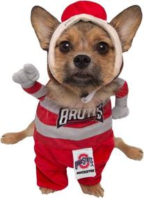 img 4 attached to Pet Krewe University Buckeye Costume