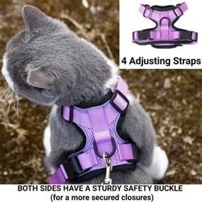 img 1 attached to 🐱 Maximize Safety and Style with Mr. Peanut's PurrTrek Reflective Cat Harness and Leash Combo