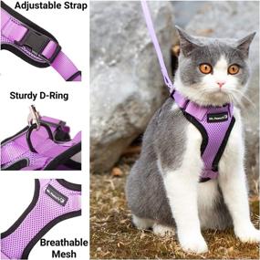 img 2 attached to 🐱 Maximize Safety and Style with Mr. Peanut's PurrTrek Reflective Cat Harness and Leash Combo