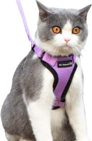 img 4 attached to 🐱 Maximize Safety and Style with Mr. Peanut's PurrTrek Reflective Cat Harness and Leash Combo