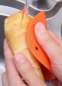 img 2 attached to Vegetable Scrubber Brush : Double Sided Fruit And Vegetable Scrubber - Multi Use: Food Brush - Potato Scrubber - Carrot Brush - Trivet - Jar Opener - Coaster BPA Free - By Cestari