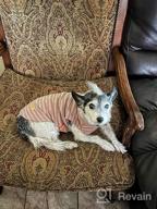 картинка 1 прикреплена к отзыву KYEESE 2Pack Dog Coat Warm Turtleneck Stretchy Dog Sweater Super Soft Dog Cold Weather Coat For Small Dogs In Sleeveless Design, Grey,L от Richard Ahmar
