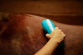 img 1 attached to 🐴 Wahl Professional Animal Limited Edition Horse Brush Combo Kit, Turquoise: Premium Grooming Set for Horses