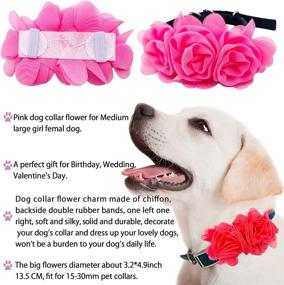 img 1 attached to 🌸 JP Dog Collar Flowers: 4/6/20PCS Large Pet Collar Charms for Small, Medium, Big Female Cats, Puppies, Alpacas, Rabbits – Neck Bows Sliders & Grooming Accessories