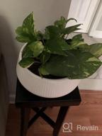img 1 attached to POTEY 8.8 Inch Large Ceramic Plant Pots With Drainage Holes And Plugs For Indoor & Outdoor House Plants Such As Christmas Cactus, Scindapsus Aureum, And Ivy Vine - 805 Black review by Kyle Gresham