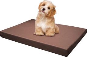 img 4 attached to 🐶 Premium Orthopedic Dog Bed: Dogbed4less Memory Foam Platform with Waterproof Removable Cover - Small to Extra Large Sizes