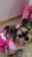 img 1 attached to 👗 CuteBone Summer Dog Dress with Harness D-Ring for Small Dogs Wedding Cat Clothes Girl Puppy Outfit Pink Shirt Flower Costume with Bow Hair Rope - DW02S review by Dave Neal