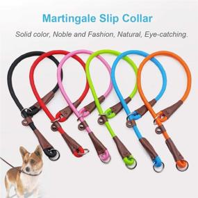 img 1 attached to MayPaw Slip Collar Nylon Rope Choke Collar for Dog Training - No Pull Martingale Dog Collar for Small, Medium, and Large Dogs