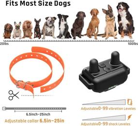 img 2 attached to 🐶 Heaflex 2600ft Remote Dog Training Collar with LED Light, Rechargeable & Waterproof, Beep, Vibration, Shock - Suitable for Training up to 3 Dogs