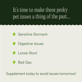 img 3 attached to 🐾 pawTree Gastro Pro Plus: Probiotics, Prebiotics & Digestive Enzymes for Dogs and Cats – Sensitive Stomach Relief, Digestive Health Supplements, Stool Normalization – 30 Chewable Treats