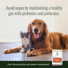 img 2 attached to 🐾 pawTree Gastro Pro Plus: Probiotics, Prebiotics & Digestive Enzymes for Dogs and Cats – Sensitive Stomach Relief, Digestive Health Supplements, Stool Normalization – 30 Chewable Treats