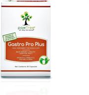 🐾 pawtree gastro pro plus: probiotics, prebiotics & digestive enzymes for dogs and cats – sensitive stomach relief, digestive health supplements, stool normalization – 30 chewable treats logo