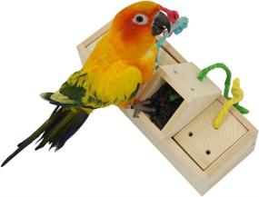 img 1 attached to 🐦 YINGGE Wooden Bird Foraging Feeder Toys: Enhance Intelligence & Enrichment for Medium and Large Parrots, Sun Conures, Caiques, Cockatoos, African Greys, Macaws, and Amazons