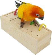 🐦 yingge wooden bird foraging feeder toys: enhance intelligence & enrichment for medium and large parrots, sun conures, caiques, cockatoos, african greys, macaws, and amazons logo