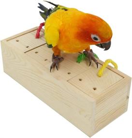 img 4 attached to 🐦 YINGGE Wooden Bird Foraging Feeder Toys: Enhance Intelligence & Enrichment for Medium and Large Parrots, Sun Conures, Caiques, Cockatoos, African Greys, Macaws, and Amazons