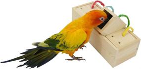 img 2 attached to 🐦 YINGGE Wooden Bird Foraging Feeder Toys: Enhance Intelligence & Enrichment for Medium and Large Parrots, Sun Conures, Caiques, Cockatoos, African Greys, Macaws, and Amazons