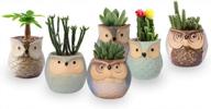 set of 6 ceramic owl succulent/cacti plant pots for indoor and outdoor use logo