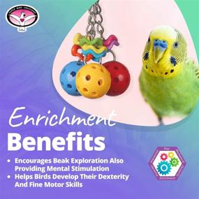 img 1 attached to 🐦 Super Bird Creations SB1093 Jingleberries Bird Toy: Small/Medium Bird Size - Discover Endless Fun!