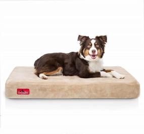 img 4 attached to Orthopedic Brindle Waterproof Pet Bed With Memory Foam, Removable Cover, And Joint Relief - Machine Washable - 4 Inches