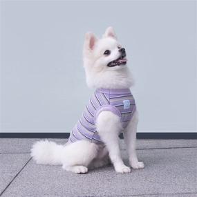 img 2 attached to 🐶 SZAT PRO Striped Teacup Pet Dog T-Shirts: Stylish 100% Cotton Tank Vest for Small Dogs & Cats