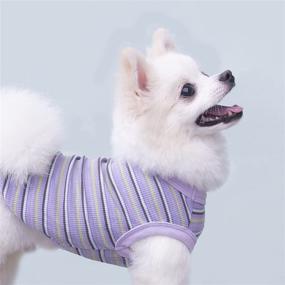 img 3 attached to 🐶 SZAT PRO Striped Teacup Pet Dog T-Shirts: Stylish 100% Cotton Tank Vest for Small Dogs & Cats