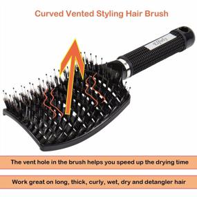 img 3 attached to Elfirly 2 Pack Boar Bristle Curved Vented Hair Brush For Men Women And Barbers, Detangling Styling Tool For Long Thick Thin Curly Hair - Black