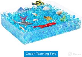 img 2 attached to 🌈 Rainbowfun Ocean Sensory Bin with Ocean Animal Toys, Water Beads, Sensory Toys for Toddlers, Preschoolers, and Kids Ages 3-8